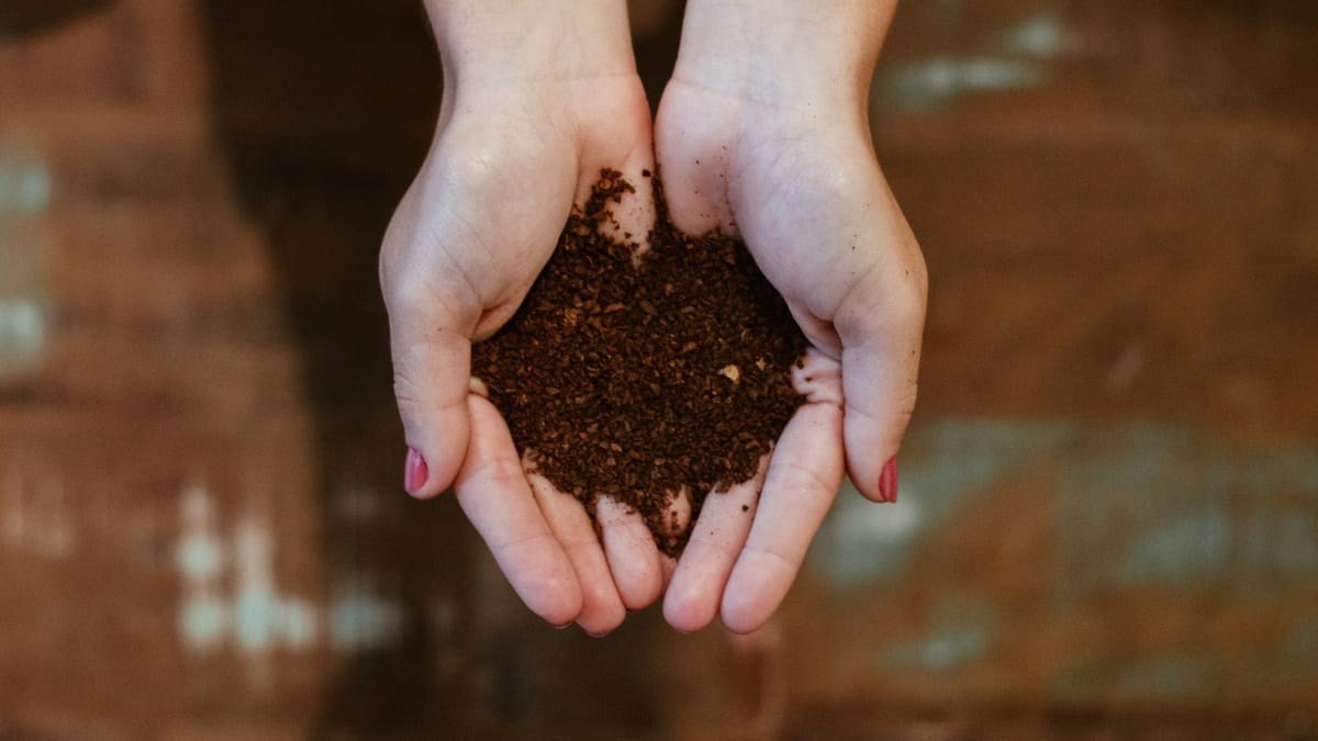 From brew to bloom with tea bags and coffee grounds