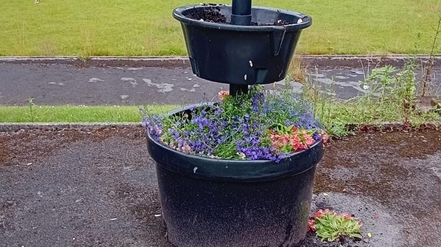 Vandals rip up flowers and damage door at Westhoughton bowling club