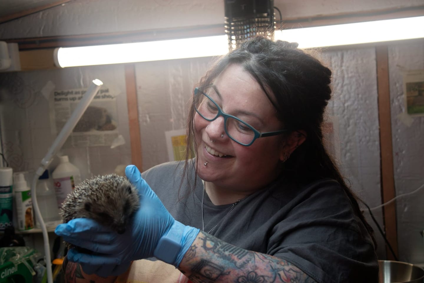 Founder Jayne Schofield shares a tender moment with one of the rescued hedgehogs