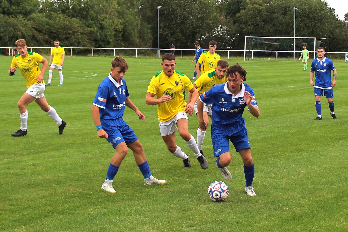 Daisy Cane-d by late Nelson winner