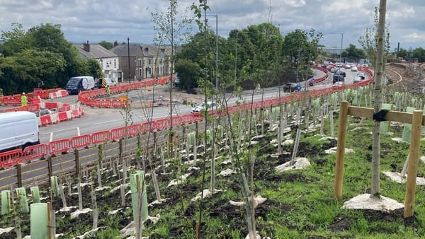 A view from a tree-lined mound down to the diverted A6 and the Bluebell Cottages behind.