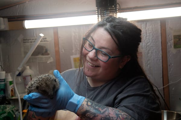 Founder Jayne Schofield shares a tender moment with one of the rescued hedgehogs