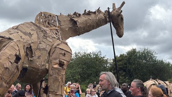 Crowds gather to see the Herds at Pennington Flash.